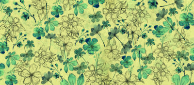 Nature Archivi - Momenti