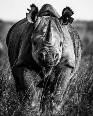 Archivos de laurent baheux - Momenti