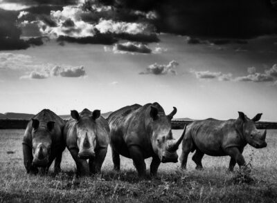 Laurent Baheux Archives - Momenti