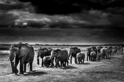 laurent baheux Archivi - Momenti