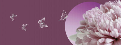 Superior Suite Archivi - Momenti