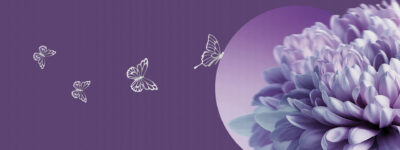 Superior Suite Archivi - Momenti
