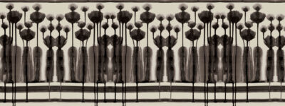 Art Archivi - Momenti