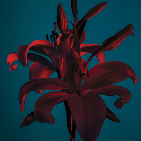 Painting Collection - Artistic Prints & Custom Wall Art