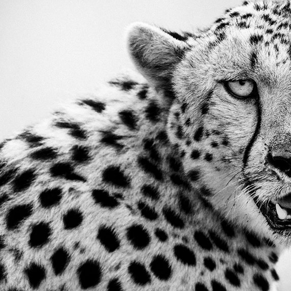 Momenti Casa - Rivesti, Reinventa, Rivoluziona