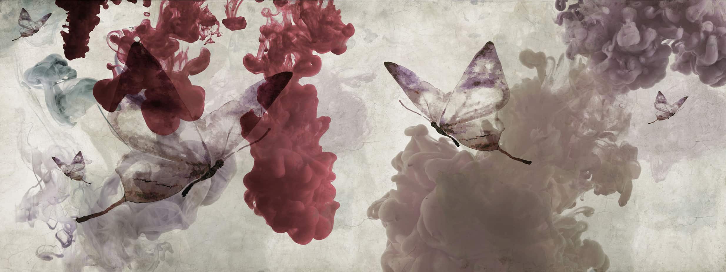 CAN-18 - Momenti Casa