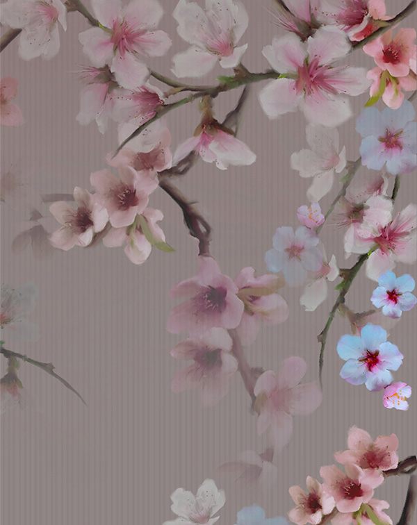 AC-004 - Momenti Casa