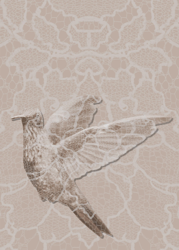 AC-004 - Momenti Casa