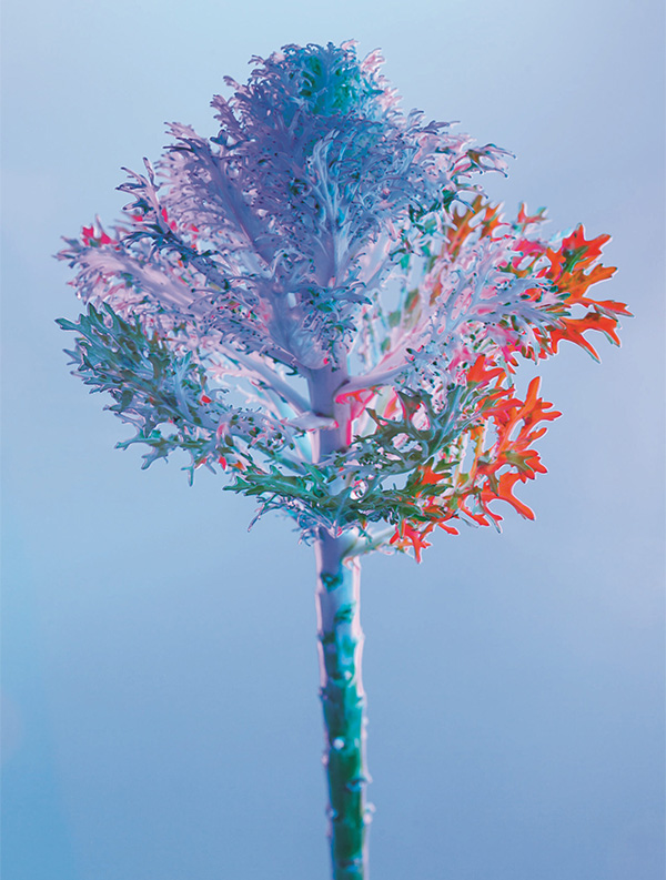 ED-005 - Momenti Casa