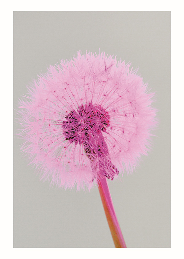 Enrico De Luigi - Momenti Casa