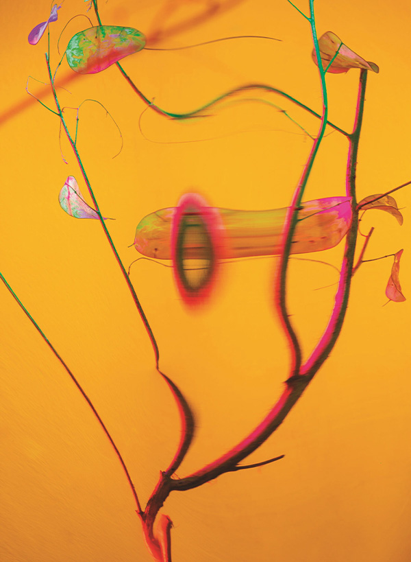 Enrico De Luigi - Momenti Casa