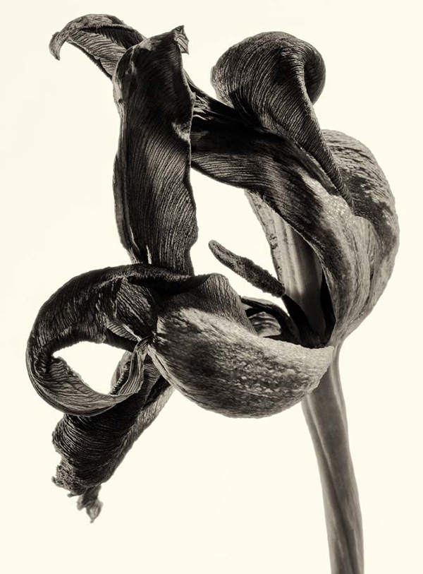 Enrico De Luigi - Momenti Casa