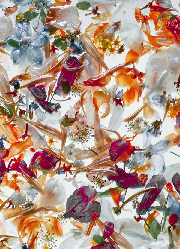 Enrico De Luigi - Momenti Casa