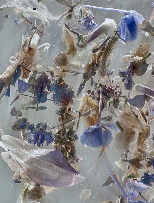 Enrico De Luigi - Momenti Casa