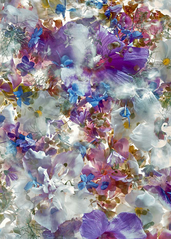 Enrico De Luigi - Momenti Casa