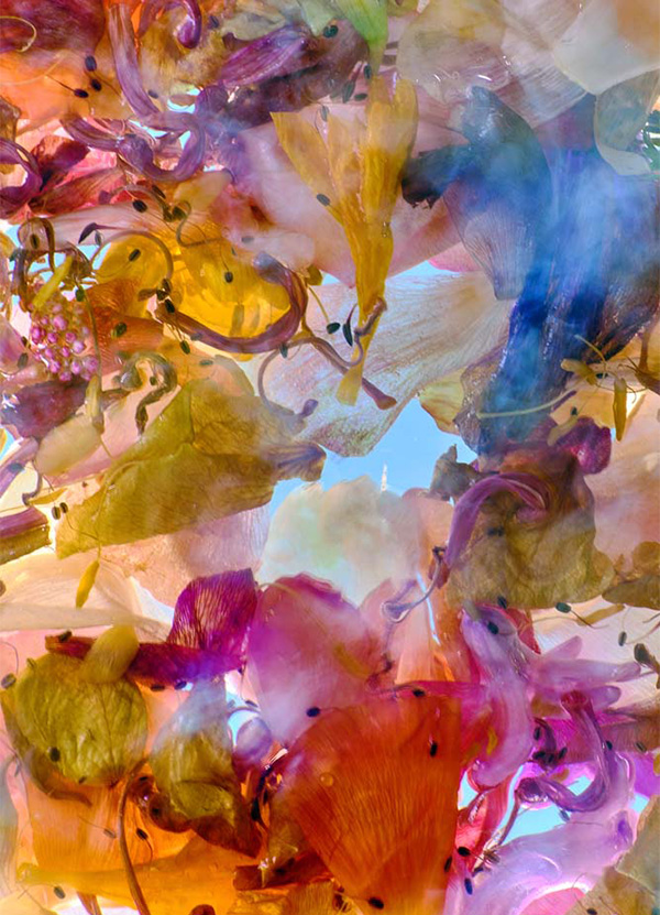 Enrico De Luigi - Momenti Casa