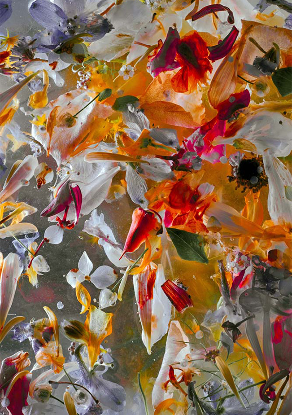 Enrico De Luigi - Momenti Casa