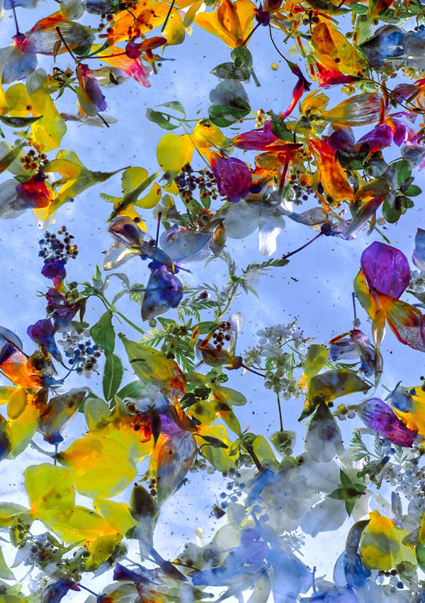 Enrico De Luigi - Momenti Casa