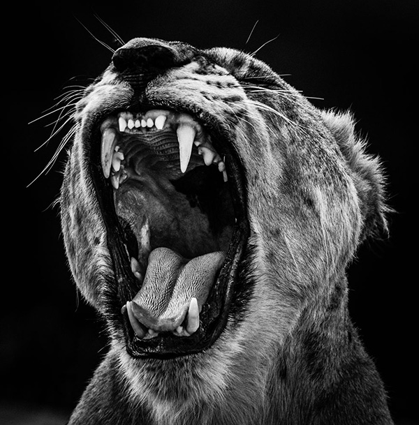 LB-012 - Momenti Casa