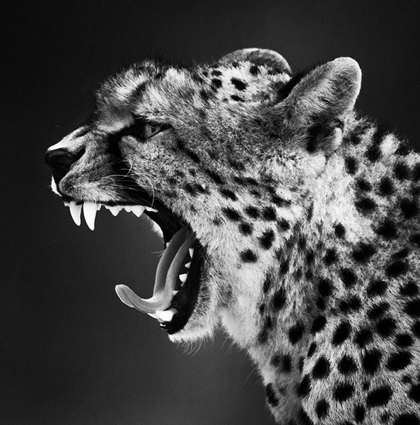 LB-002 - Momenti Casa