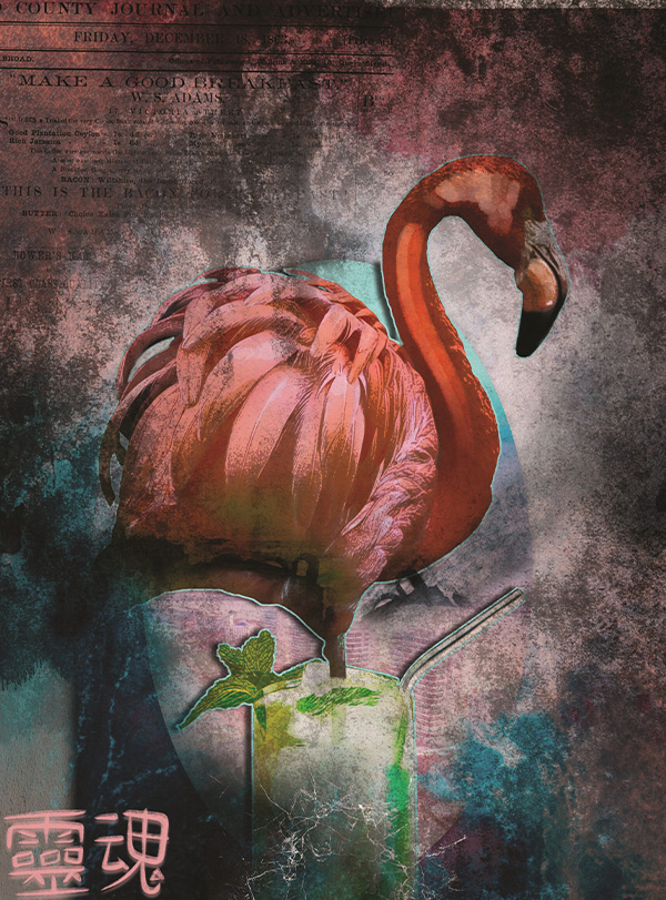 Riccardo Morvillo - Momenti Casa