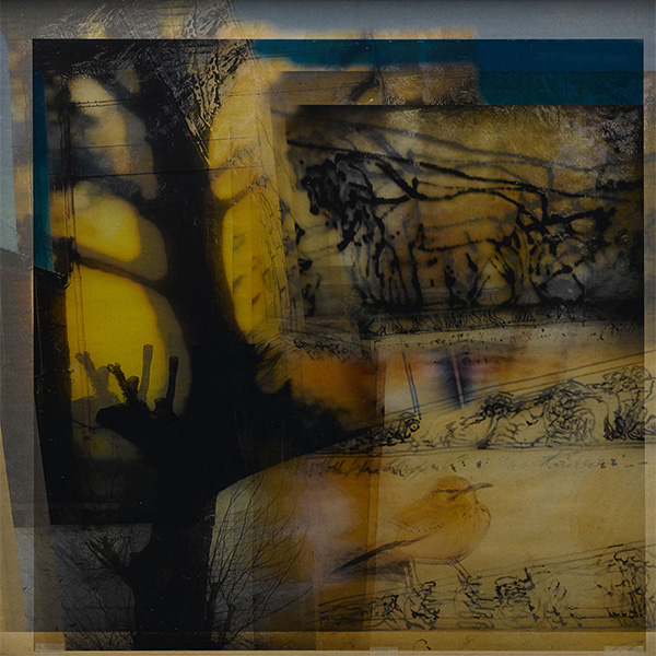 PB-005 - Momenti Casa