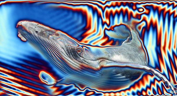 SN-008 - Momenti Casa