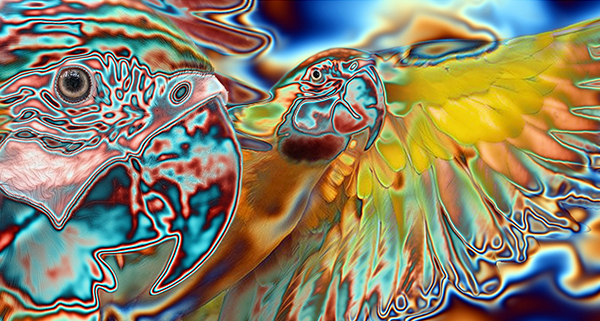 SN-008 - Momenti Casa