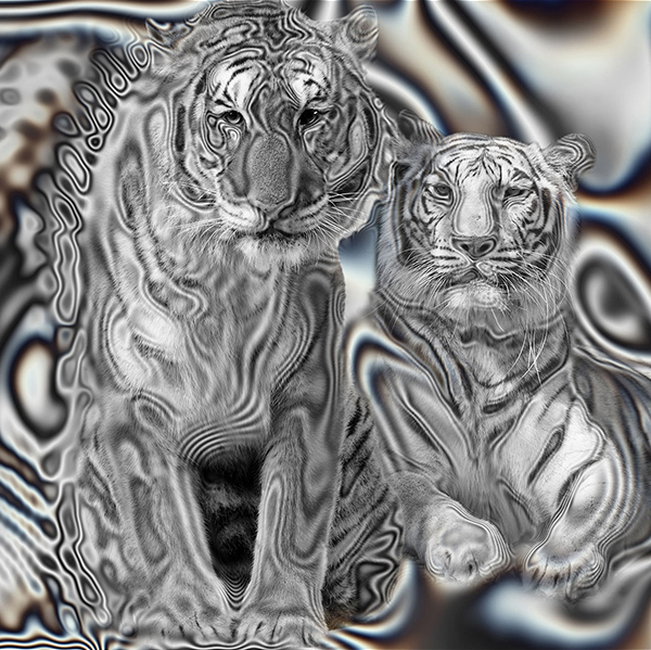 SN-008 - Momenti Casa