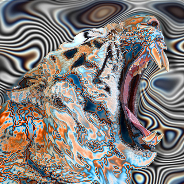 SN-008 - Momenti Casa