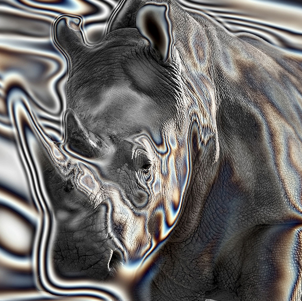 SN-008 - Momenti Casa