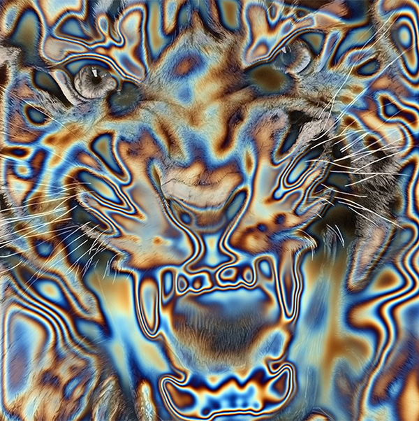 Snyder - Momenti Casa