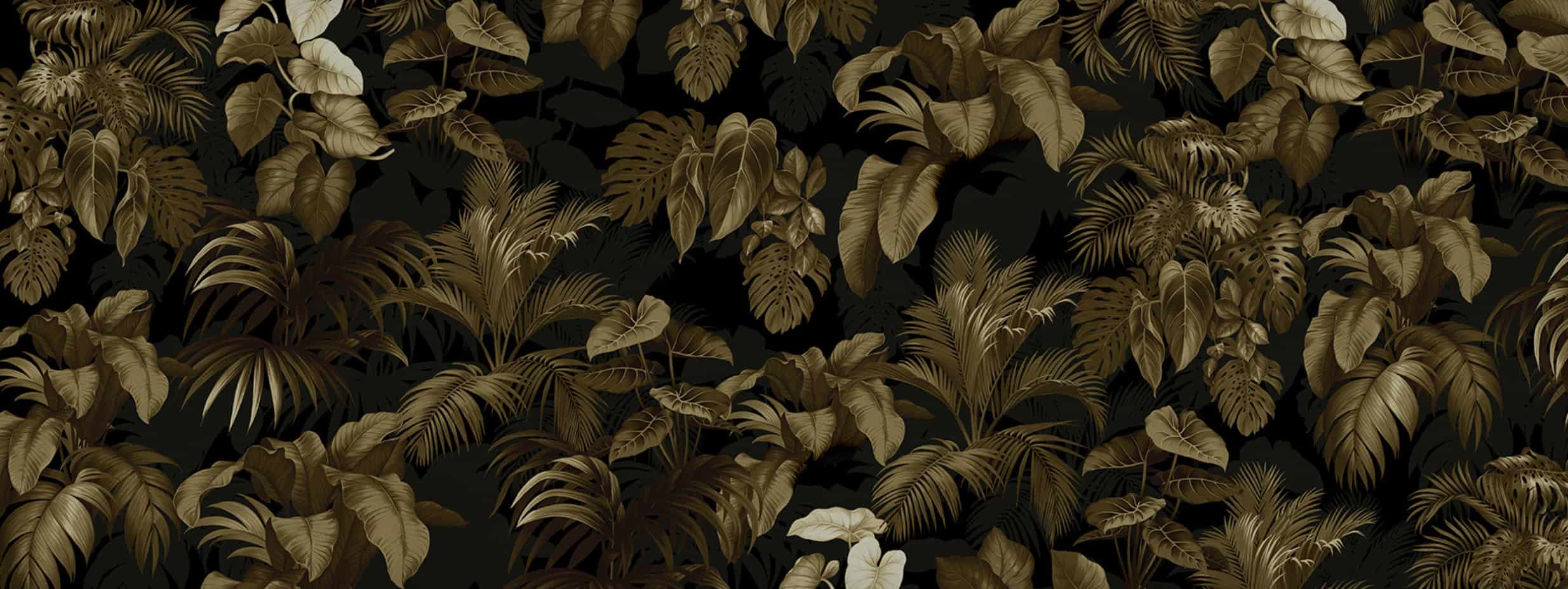 ASP-21 - Momenti Casa