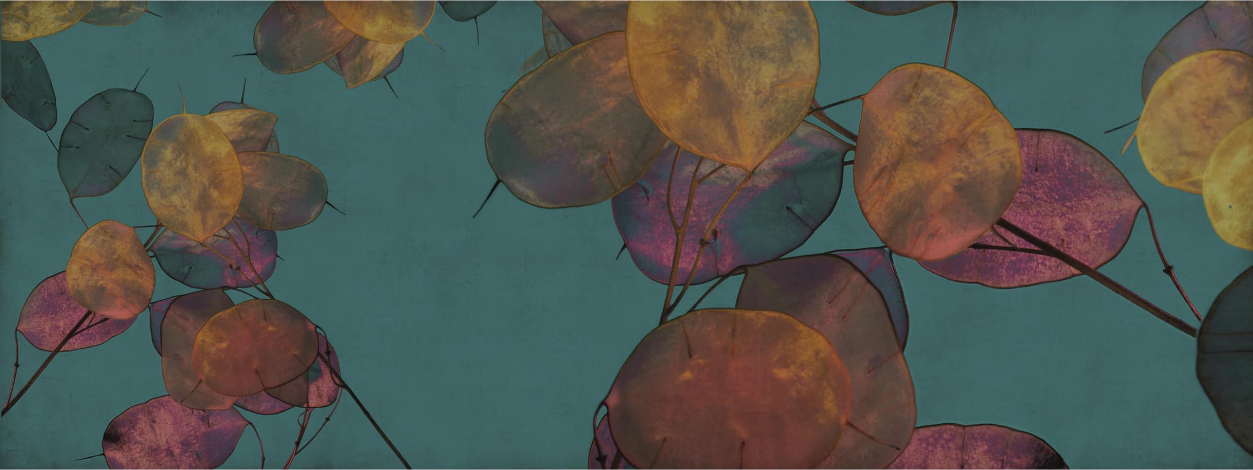 DEL-05 - Momenti Casa