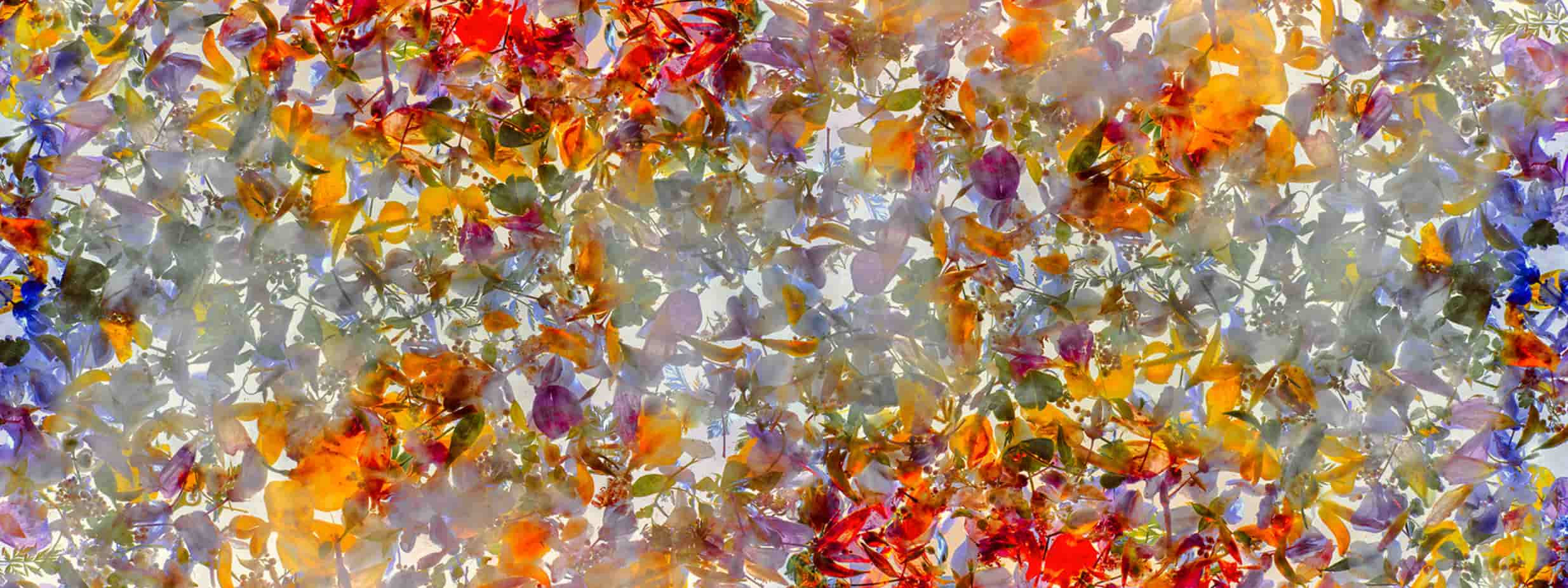 DEL-06 - Momenti Casa