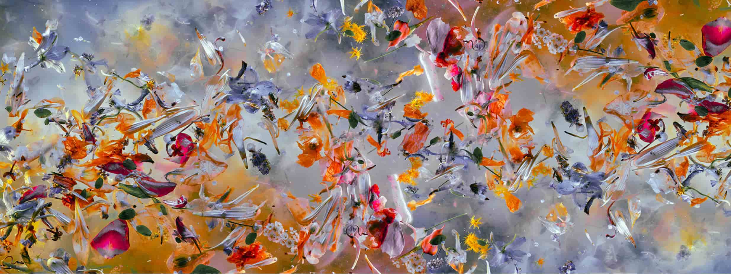 DEL-07 - Momenti Casa