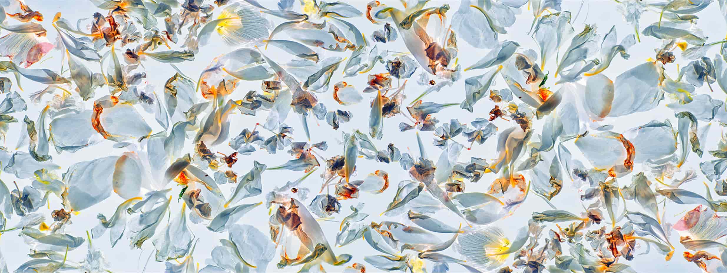 DEL-10 - Momenti Casa