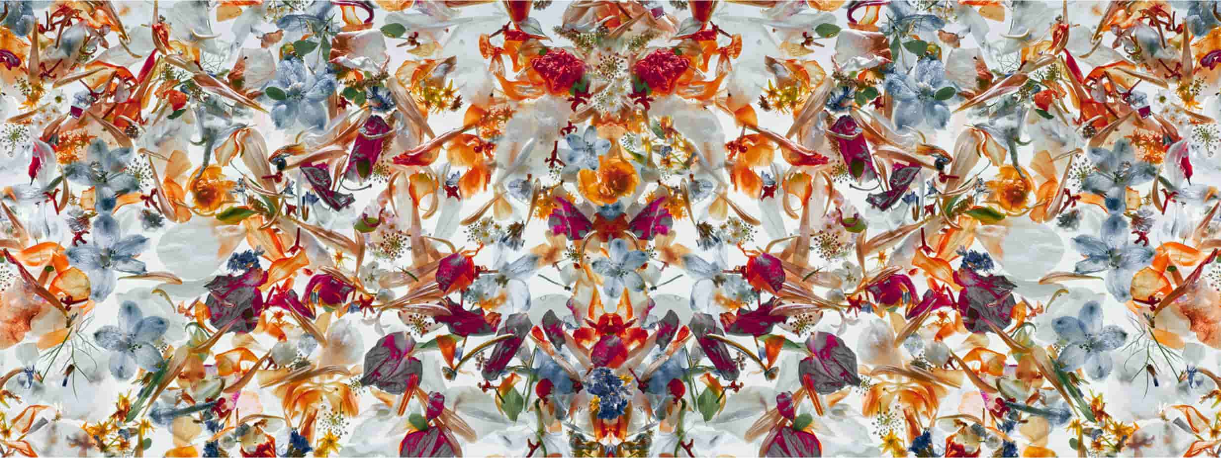 DEL-11 - Momenti Casa