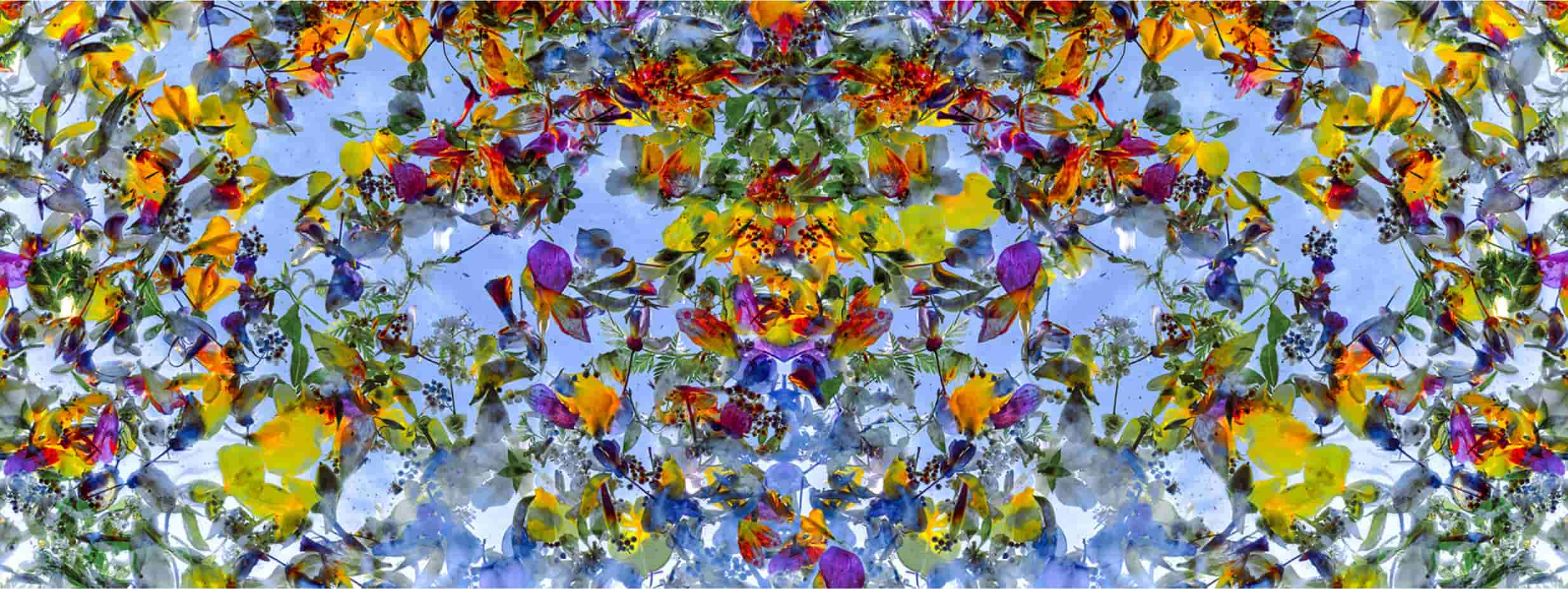 DEL-13 - Momenti Casa