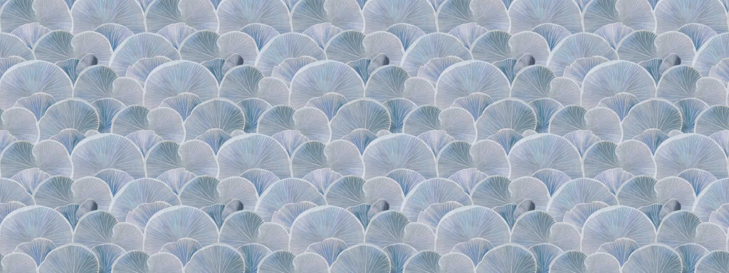 EMI-60 - Momenti Casa