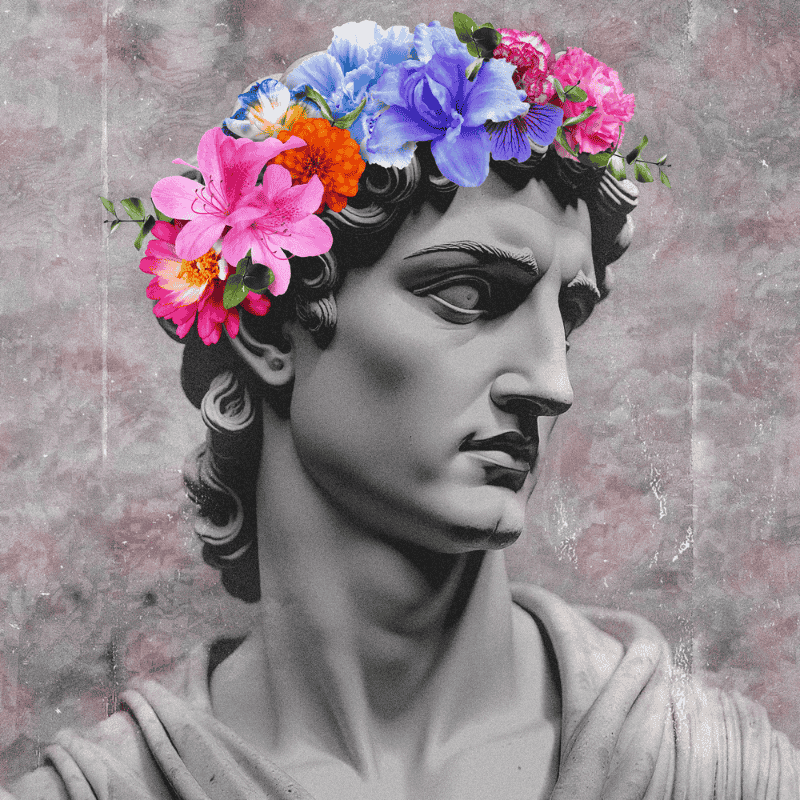 OL-004 - Momenti Casa