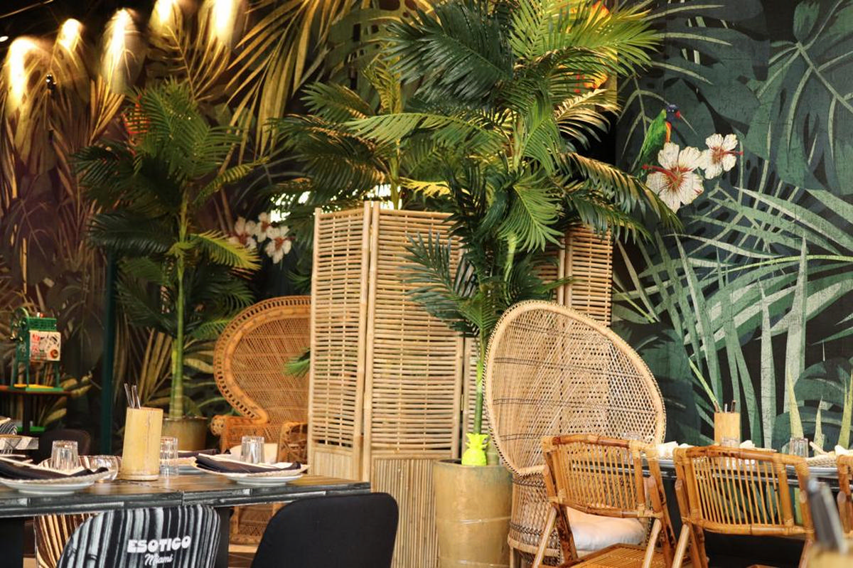 ESOTICO COCKTAILS TROPICAL CHOW – Miami, USA - Momenti Casa